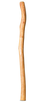 Natural Finish Didgeridoo (TW1400)